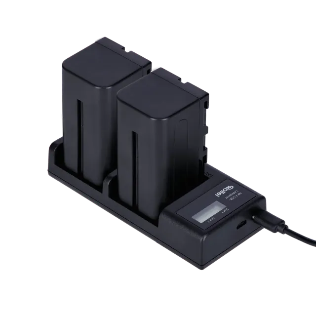 Rollei NP-F kit caricabatterie + 2 batterie USB-C