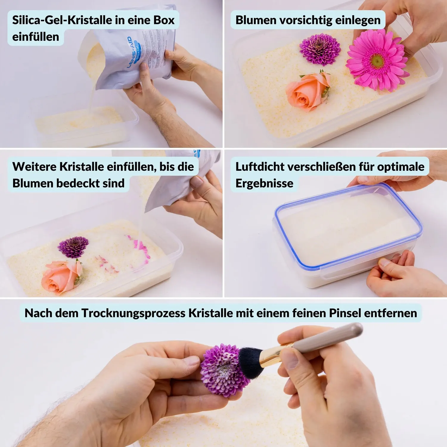 LENS-AID Gel di Silice per Fiori 1000g con Indicatore