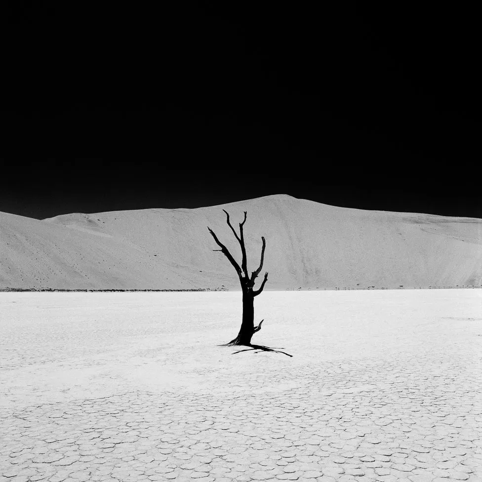 Rollei RPX 35mm 135/36 ISO 25 pellicola bianco e nero