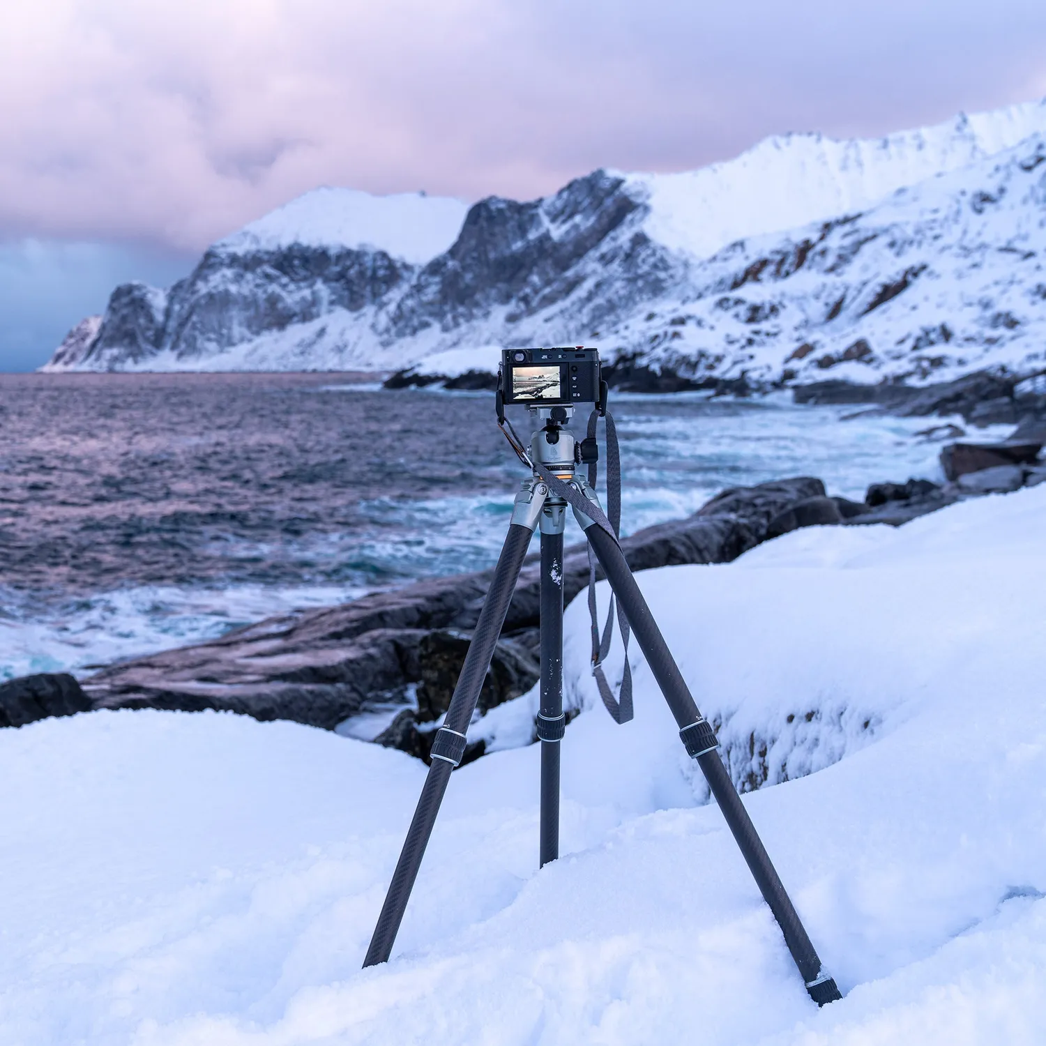 Rollei Lion Rock Pro treppiede carbonio con testa