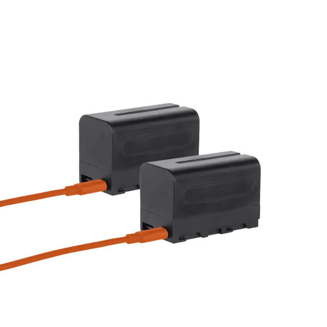 Rollei batteria NP-F550 USB-C 2 pezzi per led e monitor