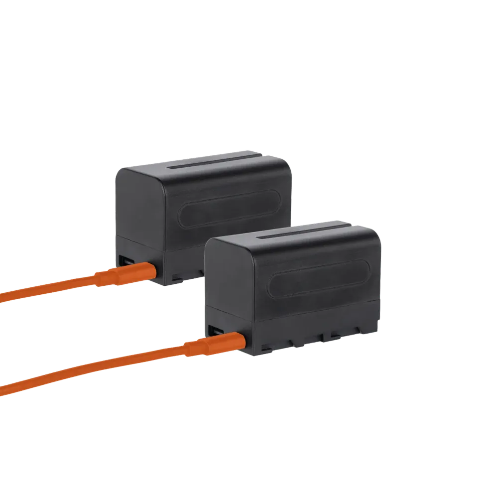 Rollei batteria NP-F550 USB-C 2 pezzi per led e monitor