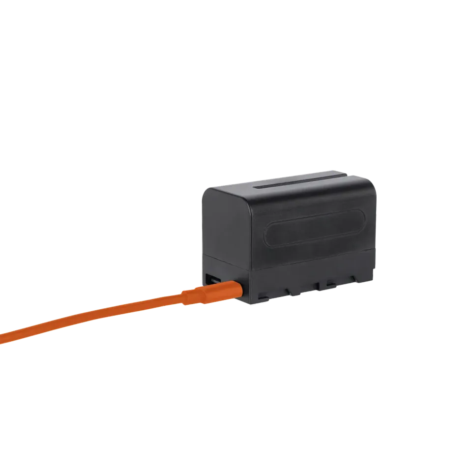 Rollei NP-F550 batteria USB-C ricaricabile