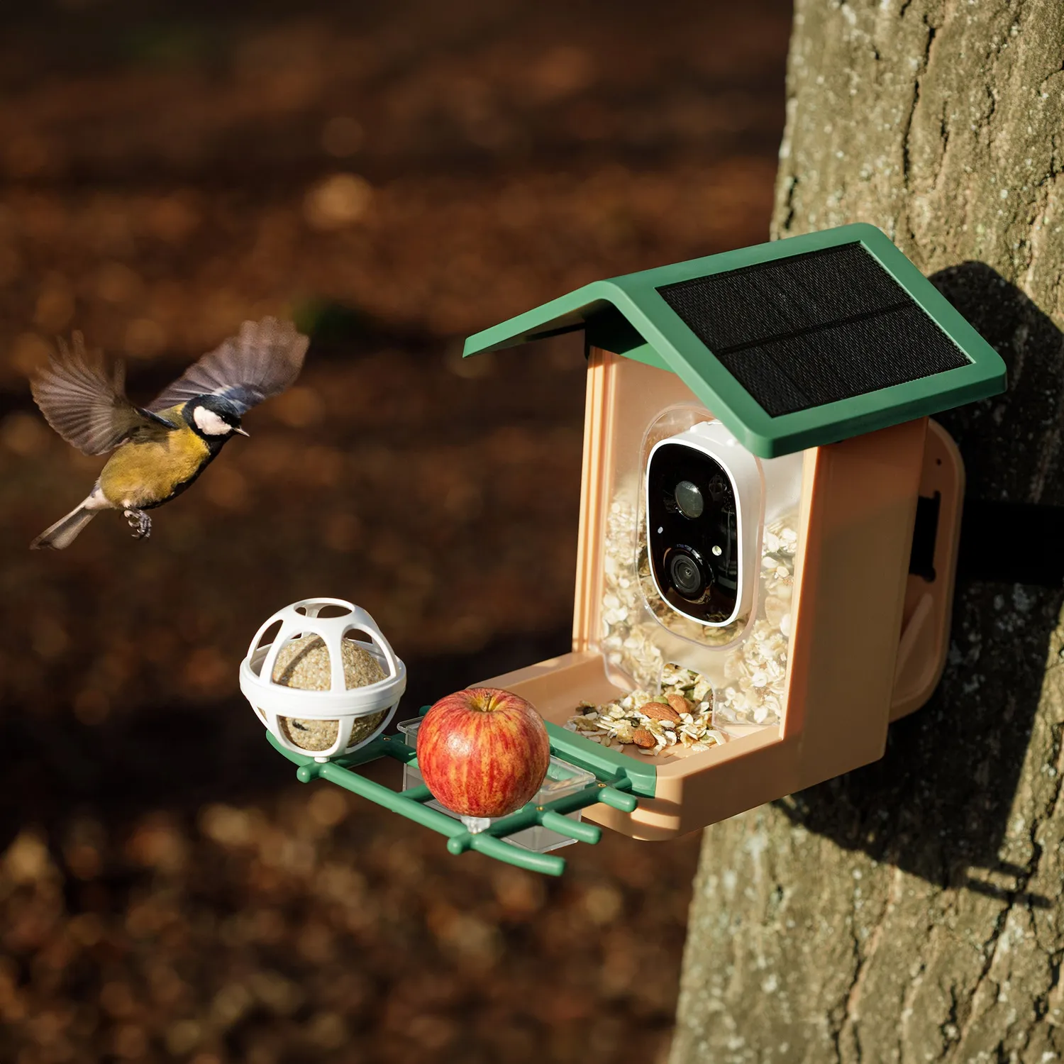 Rollei Smart AI Birdhouse 3K mangiatoia con camera