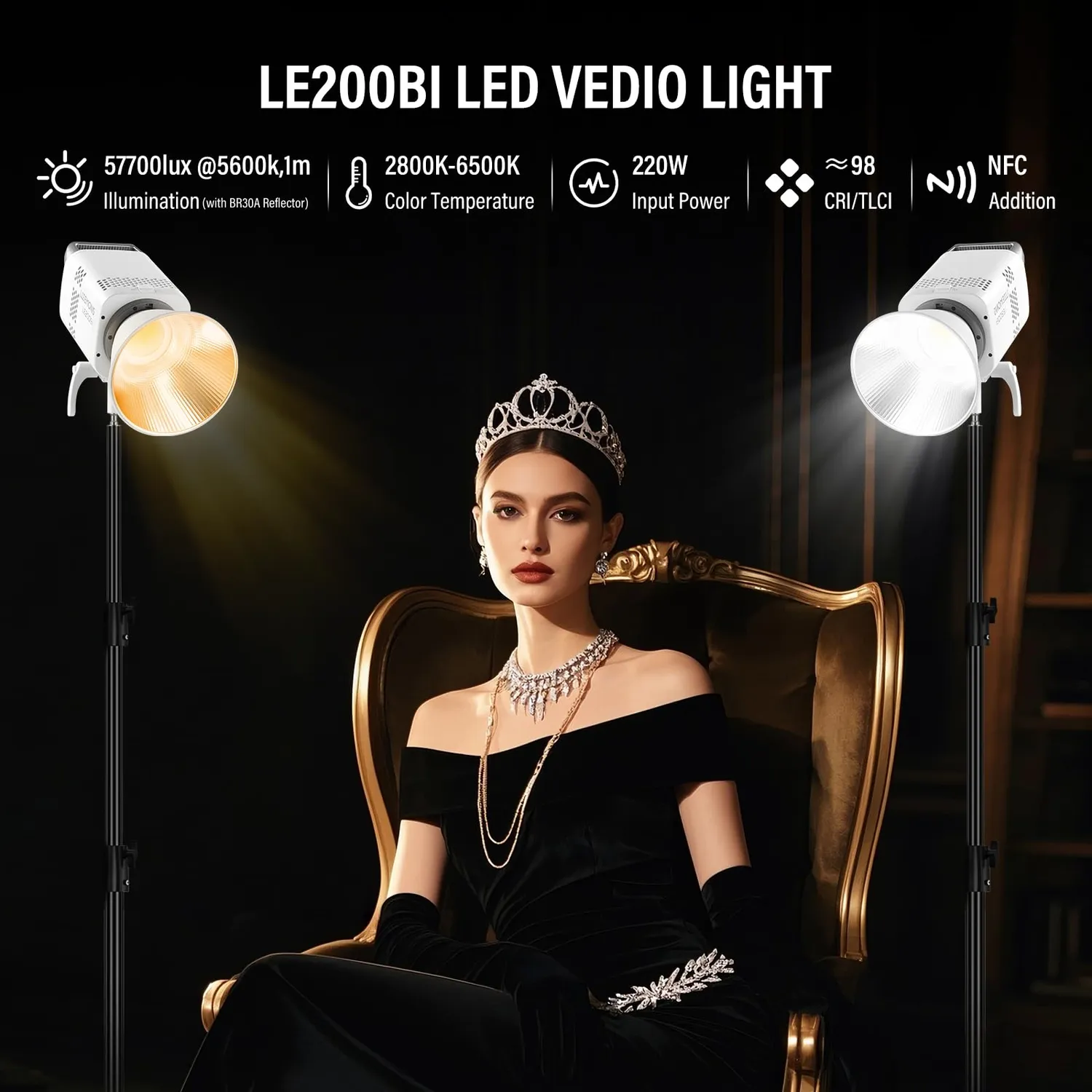 Godox Litemons LE200Bi luce LED continua kit 2 bianchi