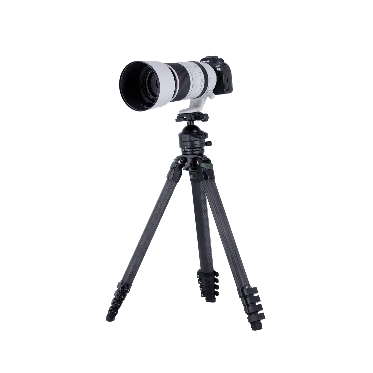 Rollei Lion Rock Pro Instinct treppiede carbonio 25 kg