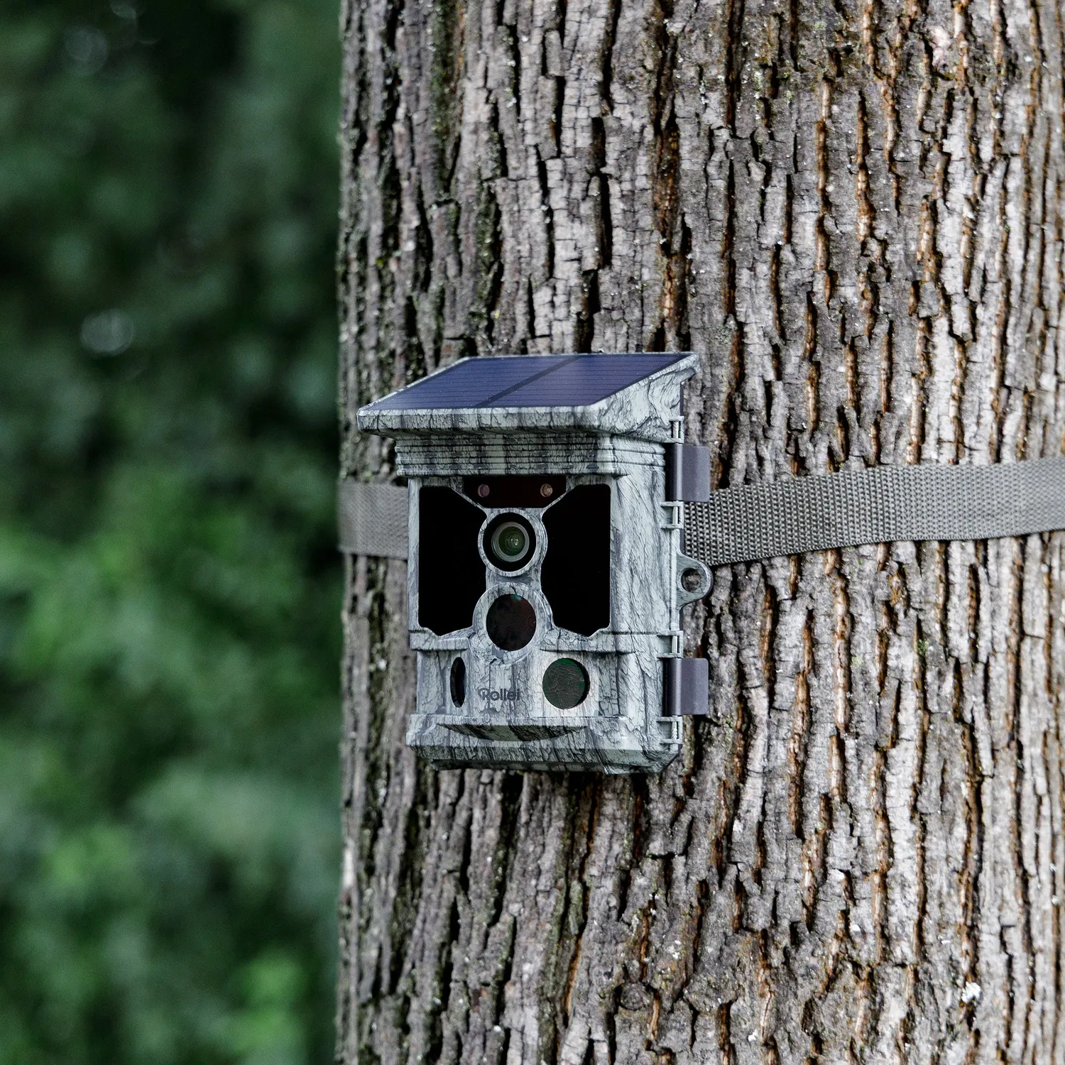 Rollei Fototrappola 4K WiFi Solare 48MP Notturna