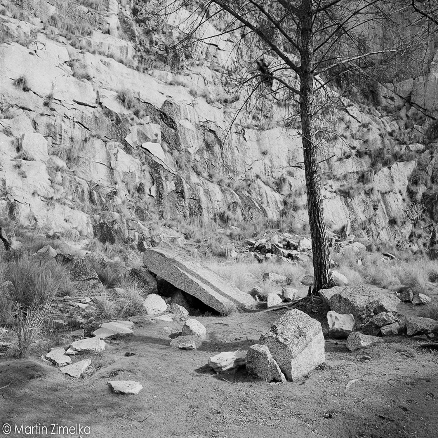Rollei Ortho 25 Plus pellicola BN 35mm 36 pose ISO 25