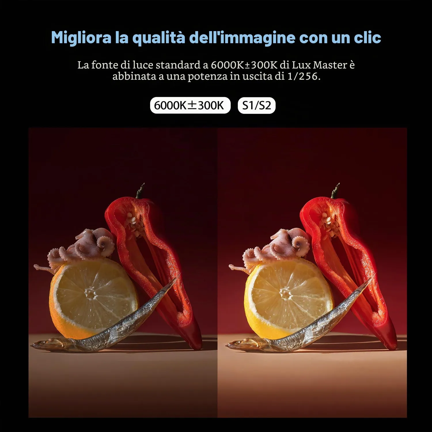 Godox Lux Master Flash Retrò TTL per Fotocamera