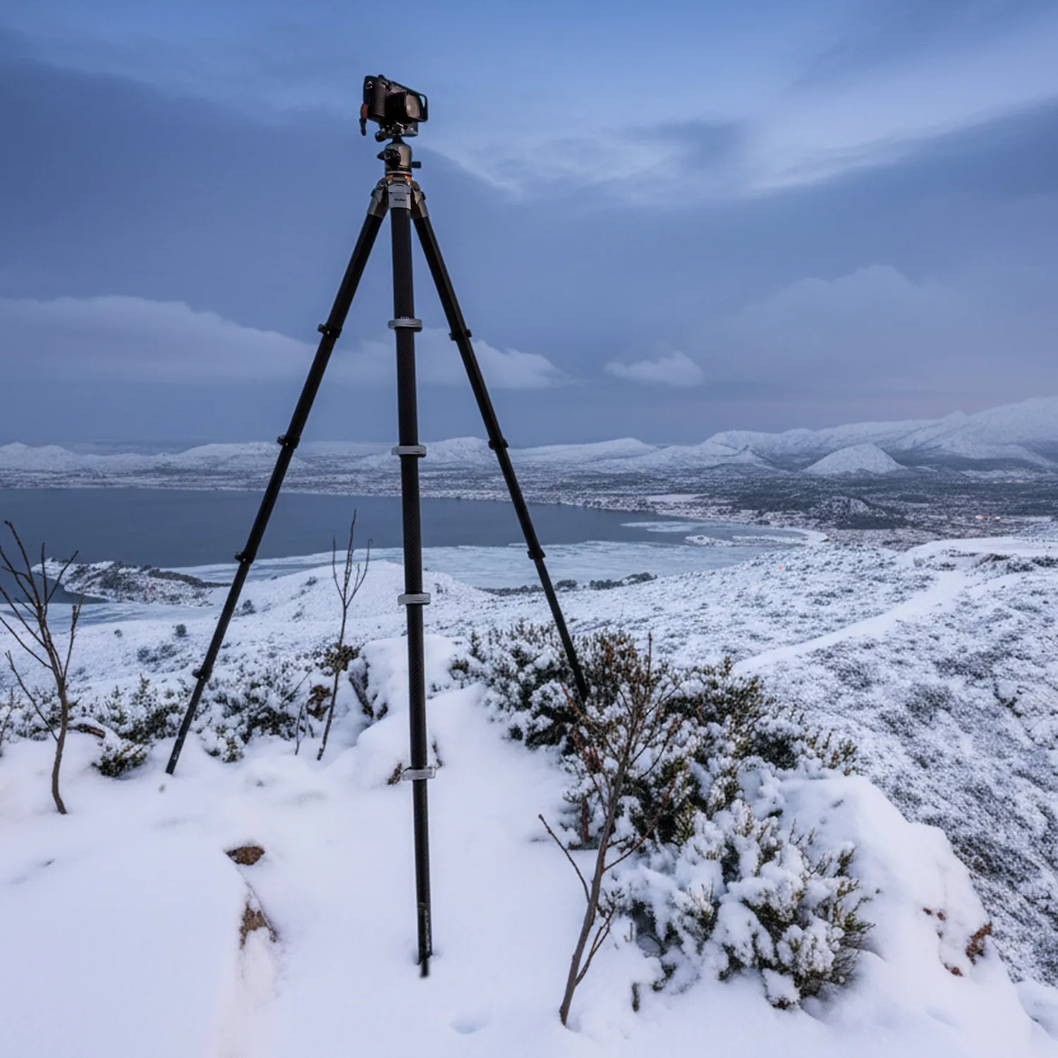 Rollei Lion Rock Traveler Pro Treppiede Carbonio 160 cm