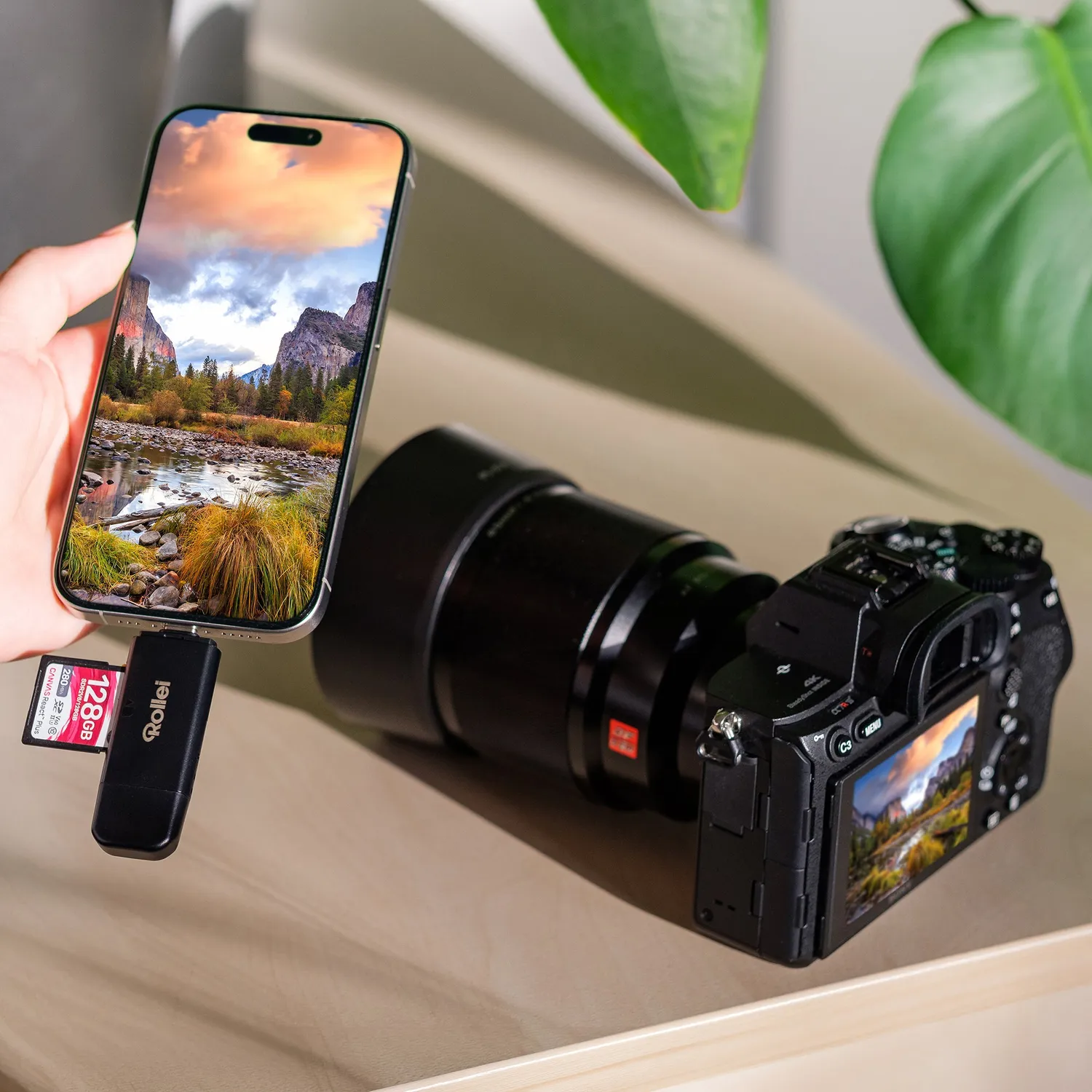 Rollei Lettore Schede 2-in-1 SD microSD USB + Custodia